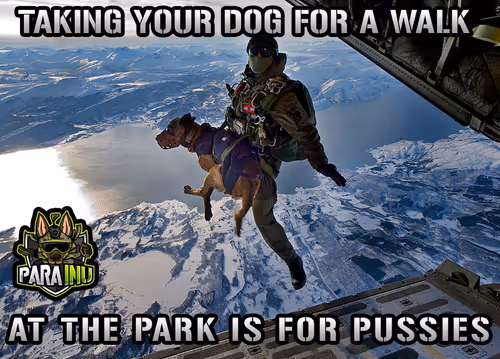 Item #84267802290559942954088594584353939466435851808707392301287009229392219996161 Media