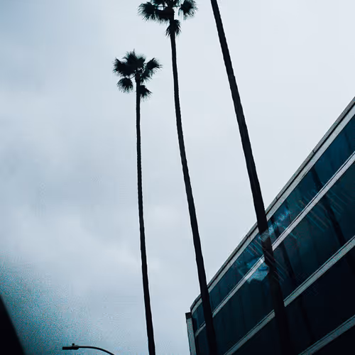 Lifeon35mm