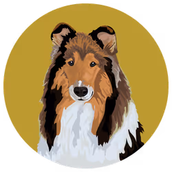 54766349128176429303044182404049584425310907481653304317570413814384099852289