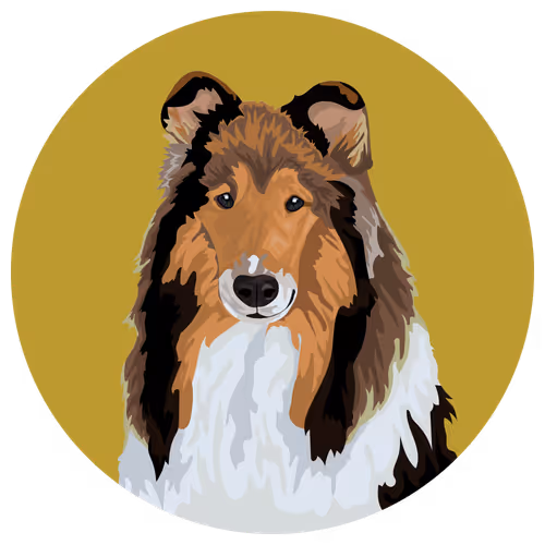 Altdoge #COLL