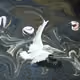 66102005777684566062243442299798712045772672487094343510469278743021767098408