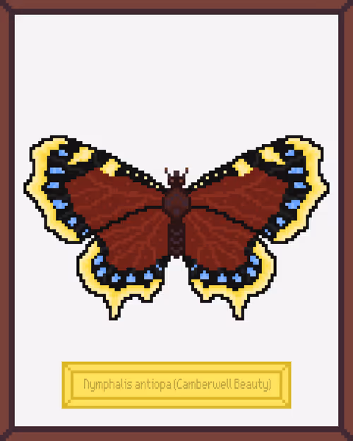 Item #99944933364211782028652678854730295040838579789766917923662069148966277087233 Media