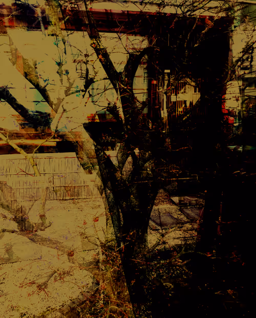 Item #58312433631864427601172952075011378080943056977712016653169188484124671737861 Media