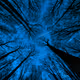 91012614359250657134223755303045893209381783057252745967436190729047193419777