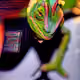 80582565841232885618488606905382920859920850180972770788879090929795648716801