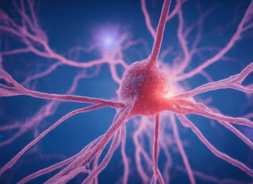 Item #98695163844141812296559601516468632585703412525772017875852753094436624269313 Media