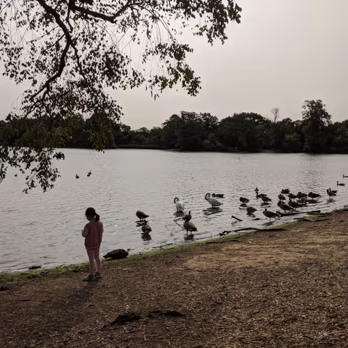 Girl standing near a lake