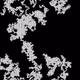 46443140435526123263349023868976142915031731050544552291035459371514495762433