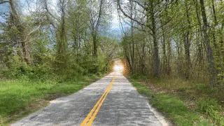 Item #94945868054767289355417259864238671214486571404781245564415912679585364312069 Media