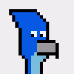 The NFTBirds