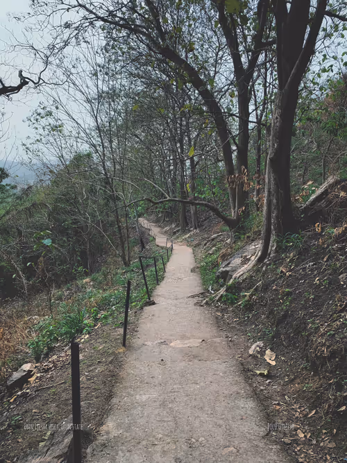 Item #86109783756313584205852517343469947488147622379281892580711212486795324293121 Media