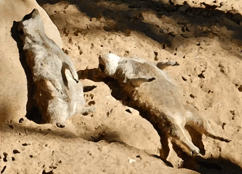 FrederickArt Collection