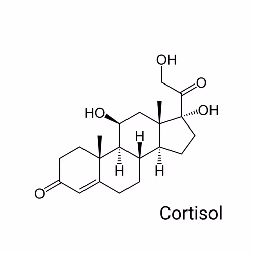 Item #64732396481221425237779336604136247156647002150051219445300180798552735219713 Media