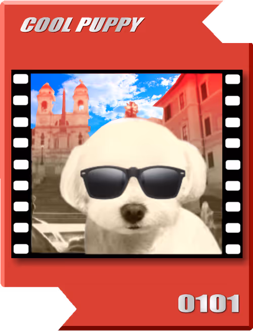 Item #21477548388787063266658748687199700189937005018840532589754440492075412619265 Media