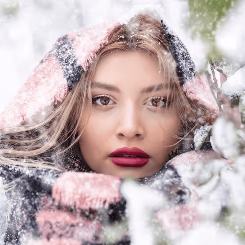 Snowy Portraits