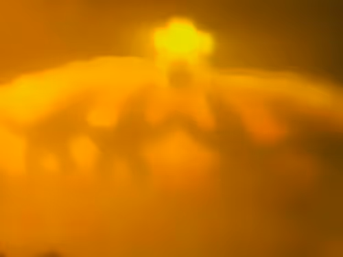 Item #34814088845477629227704468099299342434369579888194691644291829600452350050305 Media