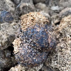 2850415134272365380187775685678842410458265265709128331682257462295305125889