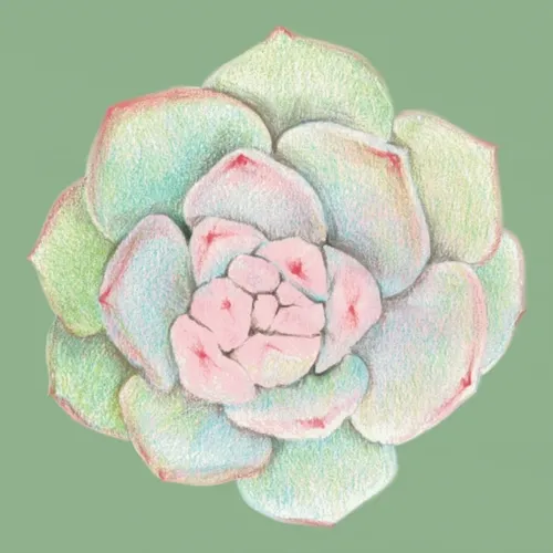 flowerclock001