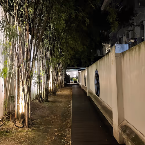 Bamboo
