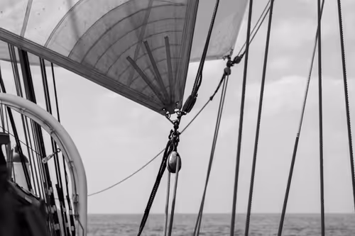 Item #34110083671509346653453586160941404072216291014688644284046702297723210563585 Media