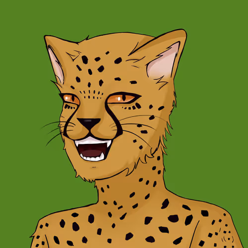 Falcooo Collection - old