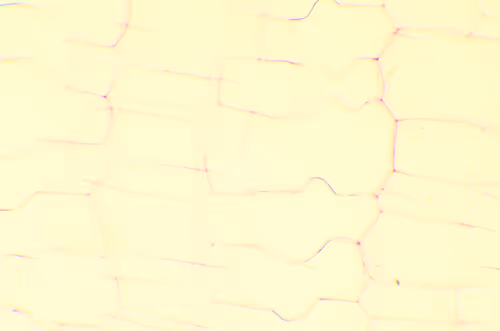 Item #29338470736162432658503928351875651882775793096611779186830202239817583951873 Media