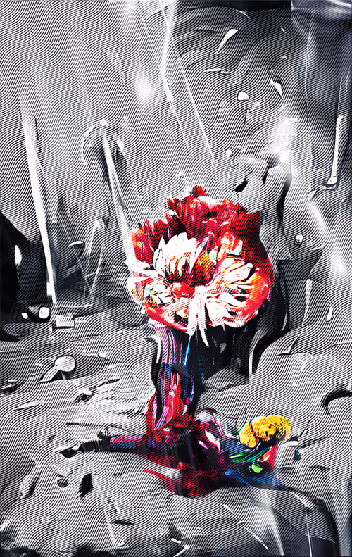 Item #42367618231883927936453209883715491979459183035932962465636822245797951176705 Media