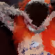 108654082117624092992667142861906899363049263550613887135864047821088370982913