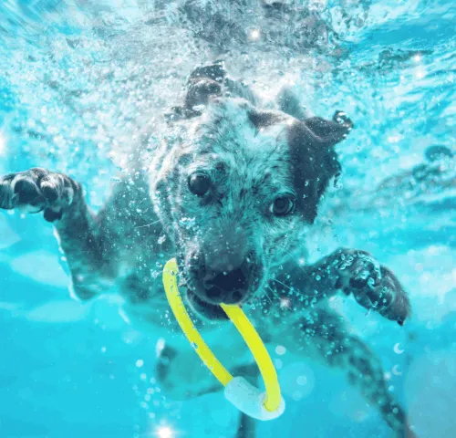 37123996989530421987136975137658183601992874580997828356353120969331564347393