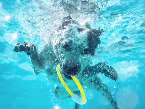 Item #37123996989530421987136975137658183601992874580997828356353120969331564347393 Media