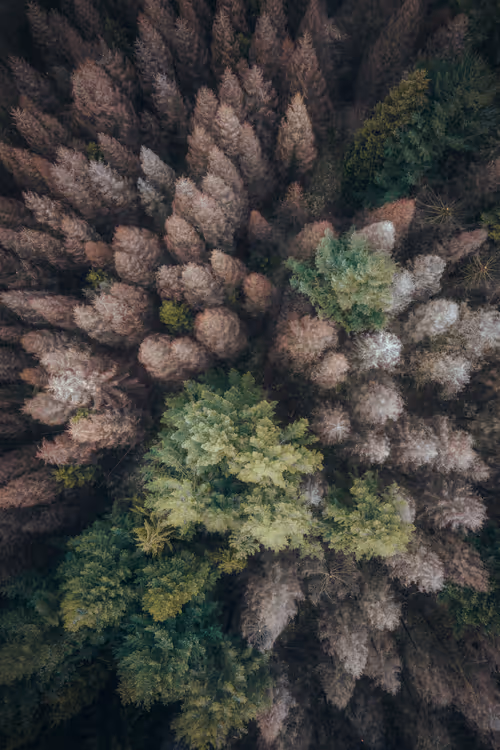 Item #57838873307730799033635906984496396884478891164141472861664138690319918039065 Media