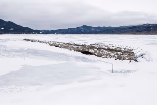 Item #48859137615643323655196029833503422829626660192385446551357751507289842384897 Media