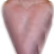 25207683049421451777311075760119526167256444459973353588468585783602070945793