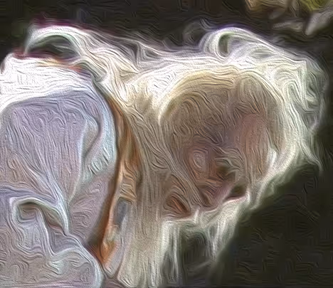 Item #70550197823952295599720855630462207026865036207579419554854854185203972177921 Media