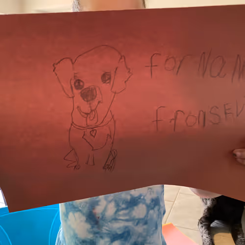 allredattire Collection