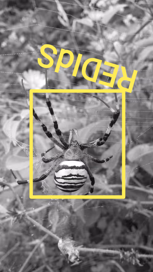 Item #90896417824972754035374636593441500642051195282109538135332929200020613234689 Media