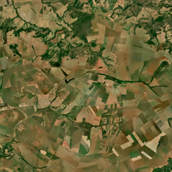 Field art