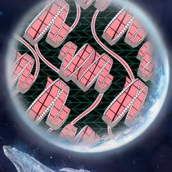 Planetverse #27