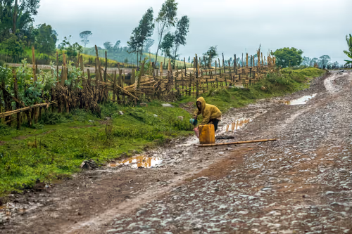 Item #50027882237522295676960542276708360859068113986169674979910833971276399247361 Media