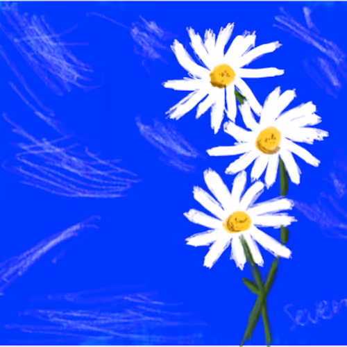 Untitled Collection #1282424473