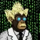 Honorary Astro Apes