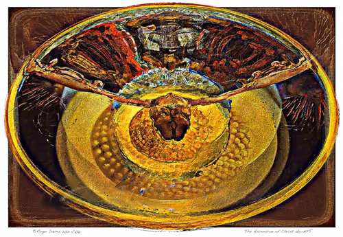 Item #42740036695250874080539381970063420666559396236032353308120348157155836166244 Media