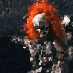 Hell Jester