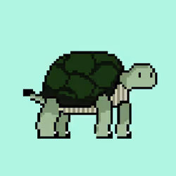Turtle #038
