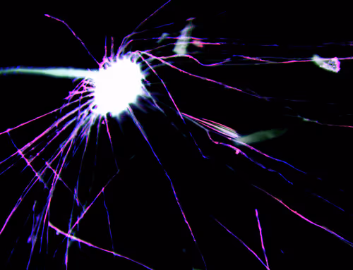 Item #71646257518770613568983710813551014237803002136866425209291833829481494085633 Media