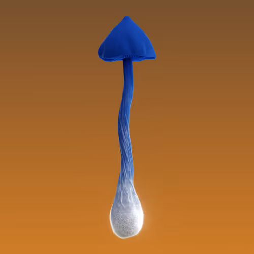 Item #95653877050150474555742155054455970472164202465768371638498214011867997667329 Media