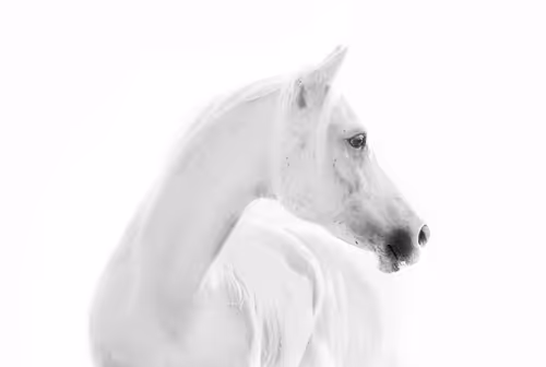 Item #12333759371985289416686528618250941787801478820548931806244366481138647040001 Media