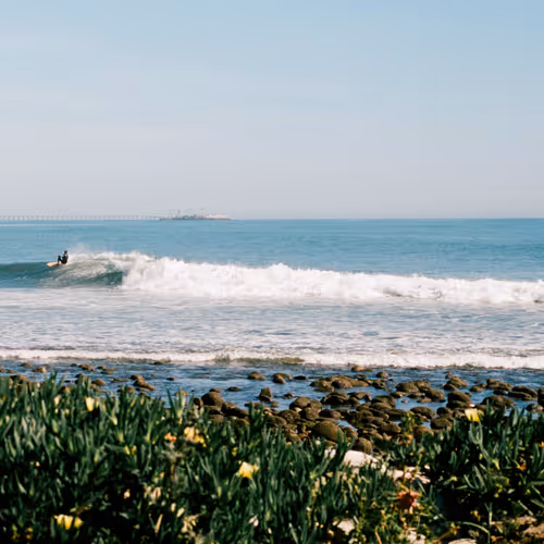 California Gold