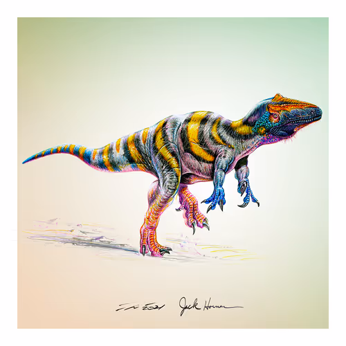 Item #22582927822880265950669941219355019494534003366966592492782895268759710203905 Media