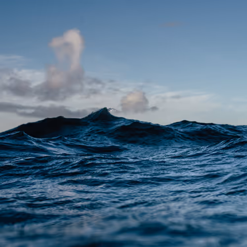 Liquidscapes